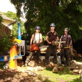 Company/TP logo - "Hunter and Sons, Tree Services"