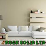 Company/TP logo - "Rock Solid Ltd"