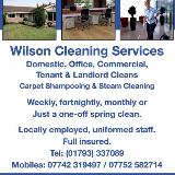 Company/TP logo - "wilson cleaning services"