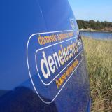 Company/TP logo - "denelectrics"