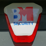 Company/TP logo - "BM Security"