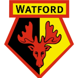Company/TP logo - "Hire A Hubby Watford "