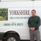 Company/TP logo - "Yorkshire tree & landscapes"