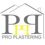Company/TP logo - "PRO PLASTERING"