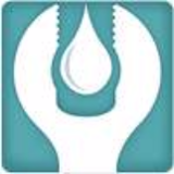 Company/TP logo - "DPS Plumbing & Heating Services"