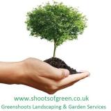 Company/TP logo - "Green Shoots Gardening Services"