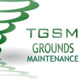 Company/TP logo - "The Green Stripe Men"