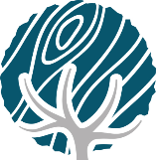 Company/TP logo - "Roots Kitchens"