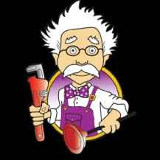 Company/TP logo - "Professor Plumbing & Heating"