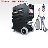 Company/TP logo - "Diamond carpet cleaner"
