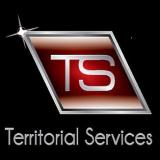 Company/TP logo - "TS GLASS LTD"
