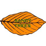 Company/TP logo - "Sandy Trees"