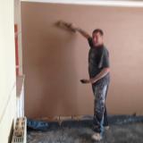 Company/TP logo - "Tyron Evans Plastering Service."