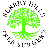 Company/TP logo - "Surrey Hills Tree Surgery"