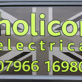 Company/TP logo - "Holicon"