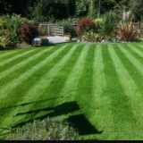 Company/TP logo - "South Garden Services"