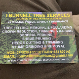 Company/TP logo - "I Burnell Tree Services"