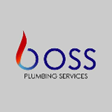 Company/TP logo - "Boss Plumbing services"