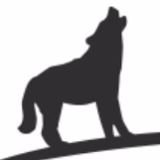 Company/TP logo - "RG Wolf's And Co LTD"