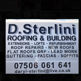 Company/TP logo - "D.Sterlini Roofing & Building"