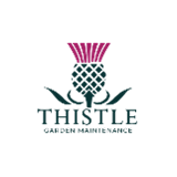 Company/TP logo - "THISTLE Garden Maintence"