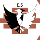 Company/TP logo - "Eagles Services"
