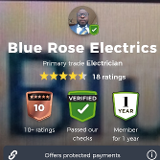 Company/TP logo - "Blue Rose Electrics"