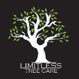 Company/TP logo - "Limitless Tree Care"