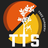 Company/TP logo - "TOP TREE SERVICES & GARDENING LTD"