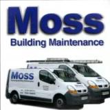 Company/TP logo - "Moss Building Maintenance"