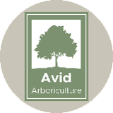 Company/TP logo - "AVID ARBORICULTURE"