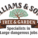 Company/TP logo - "Williams and Sons Tree and Garden"