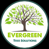 Company/TP logo - "Evergreen Tree Solutions"