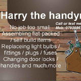 Company/TP logo - "Handyman Harri"