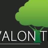 Company/TP logo - "Avalon Trees"