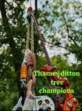 Company/TP logo - "Thames Ditton Tree Champions"