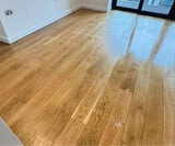 Company/TP logo - "Eco Step Carpet and Flooring"