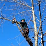 Company/TP logo - "RB tree services "