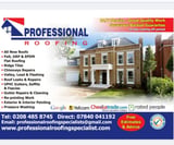Company/TP logo - "Professional Roofing Specialist"