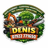 Company/TP logo - "Denis Expert"