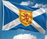 Company/TP logo - "Saltire Multi Trades & Maintenance"