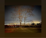 Company/TP logo - "Sterling Construction LTD"