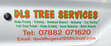 Company/TP logo - "DLS Tree Services"