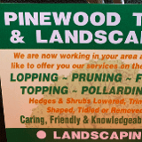 Company/TP logo - "PINEWOOD TREE & LANDSCAPES"