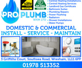 Company/TP logo - "Pro Plumb"