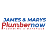 Company/TP logo - "Plumbernow"