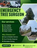 Company/TP logo - "Tree Hedge Cutting Service"