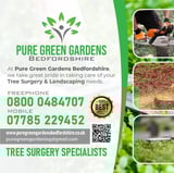 Company/TP logo - "Pure Green Gardens"