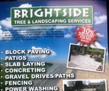 Company/TP logo - "Brightside Tree & Landscapes"