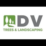 Company/TP logo - "DV Tree & Landscaping"